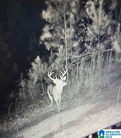 582 COUNTY ROAD 71, Woodland, AL 36280