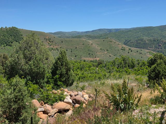 2924 N WATER CANYON AVE, Huntsville, UT 84317