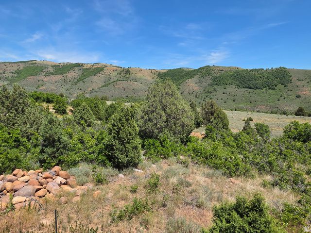 2924 N WATER CANYON AVE, Huntsville, UT 84317