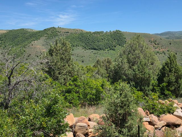 2924 N WATER CANYON AVE, Huntsville, UT 84317