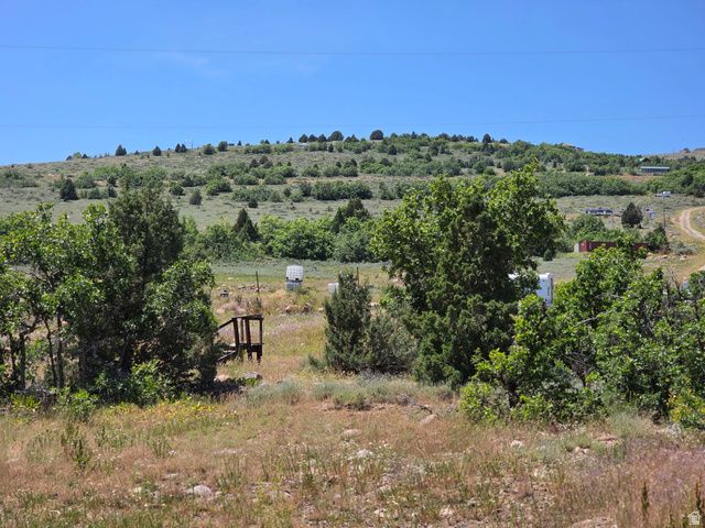 2924 N WATER CANYON AVE, Huntsville, UT 84317