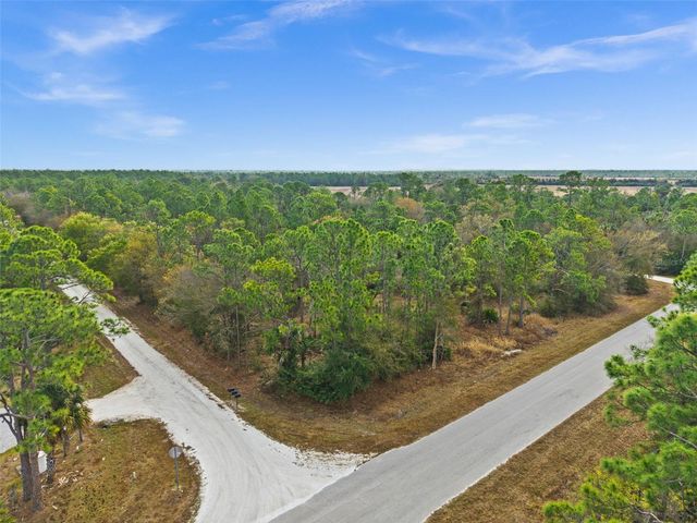 13484 MICHILIN AVENUE, Punta Gorda, FL 33955