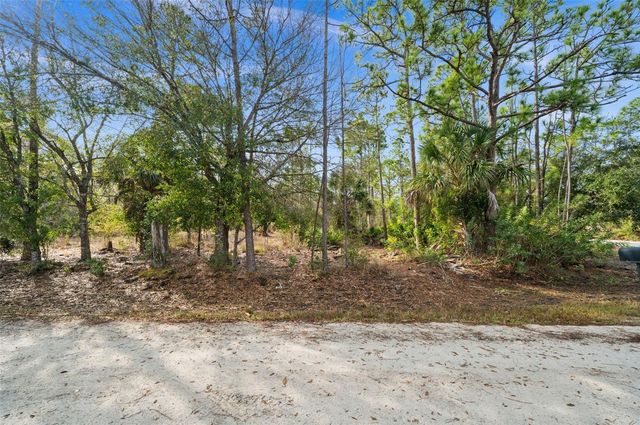 13484 MICHILIN AVENUE, Punta Gorda, FL 33955