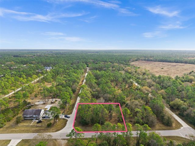 13484 MICHILIN AVENUE, Punta Gorda, FL 33955