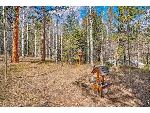 251 Haugen Slide Rd, Allenspark, CO 80510