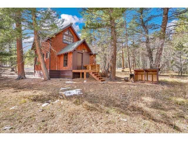 251 Haugen Slide Rd, Allenspark, CO 80510