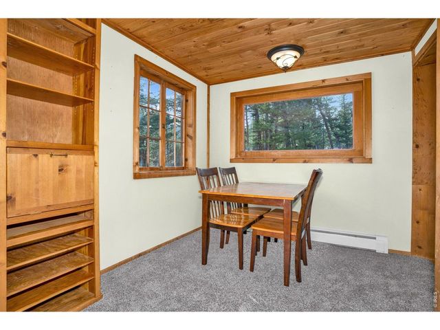 251 Haugen Slide Rd, Allenspark, CO 80510