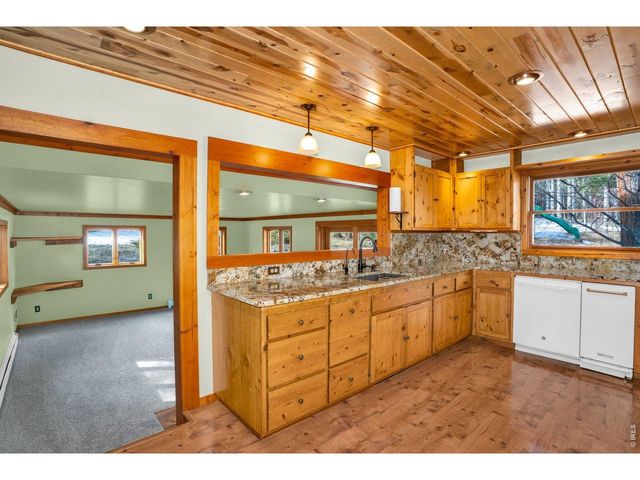 251 Haugen Slide Rd, Allenspark, CO 80510