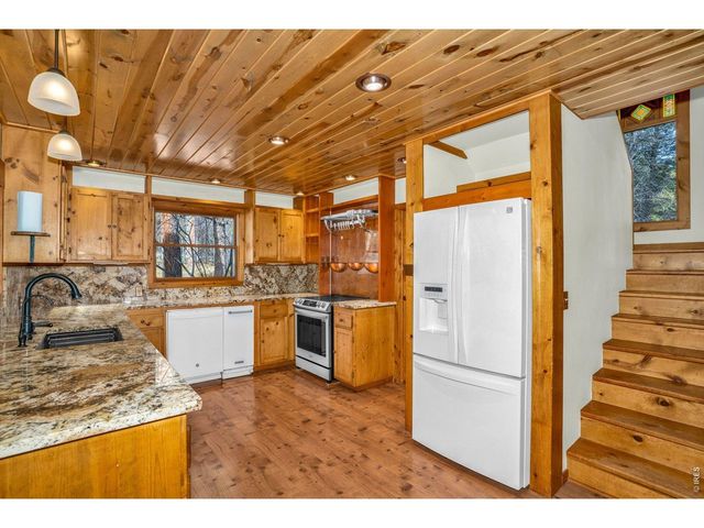 251 Haugen Slide Rd, Allenspark, CO 80510