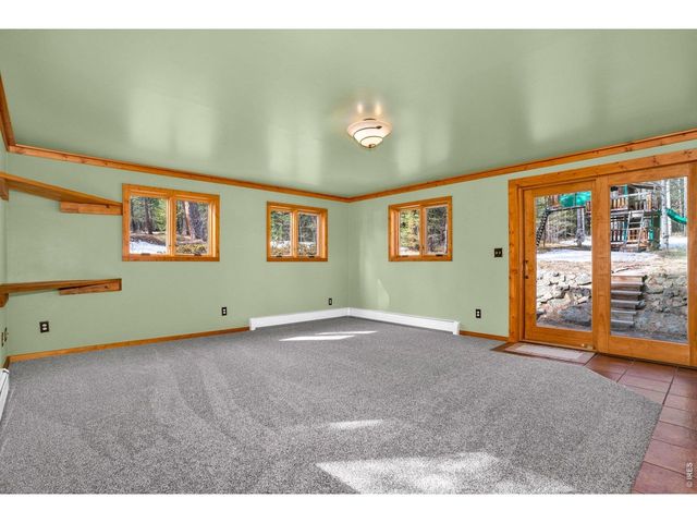 251 Haugen Slide Rd, Allenspark, CO 80510