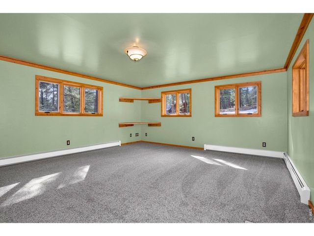 251 Haugen Slide Rd, Allenspark, CO 80510