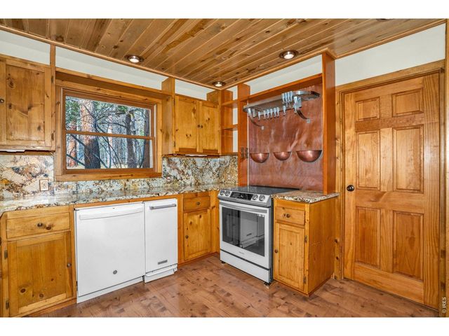 251 Haugen Slide Rd, Allenspark, CO 80510