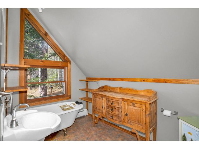 251 Haugen Slide Rd, Allenspark, CO 80510