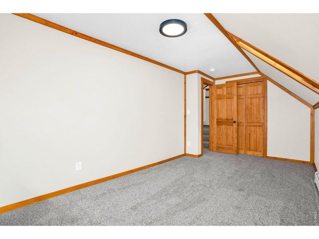 251 Haugen Slide Rd, Allenspark, CO 80510