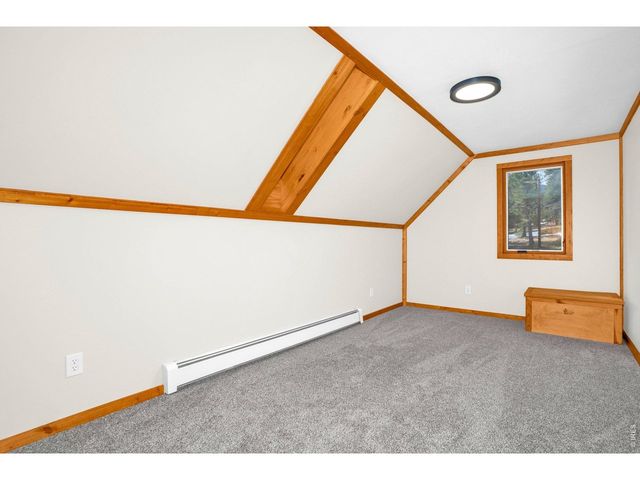 251 Haugen Slide Rd, Allenspark, CO 80510