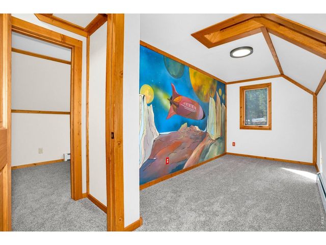 251 Haugen Slide Rd, Allenspark, CO 80510