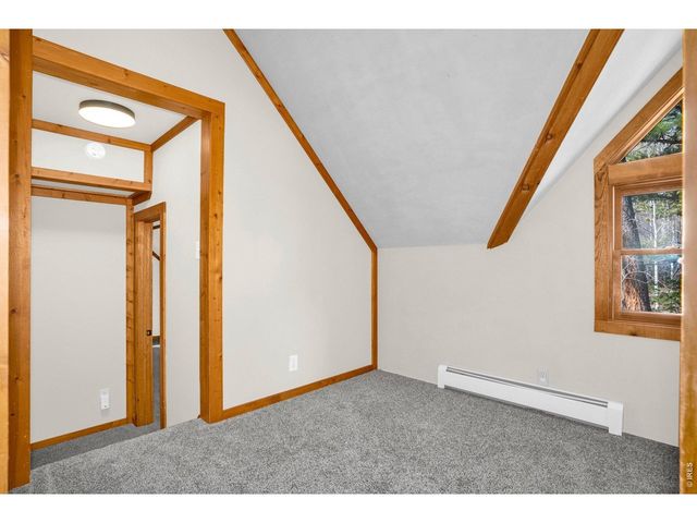 251 Haugen Slide Rd, Allenspark, CO 80510
