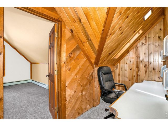 251 Haugen Slide Rd, Allenspark, CO 80510