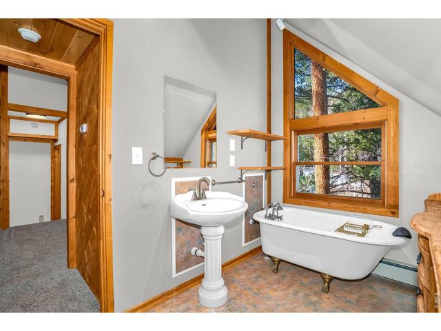 251 Haugen Slide Rd, Allenspark, CO 80510