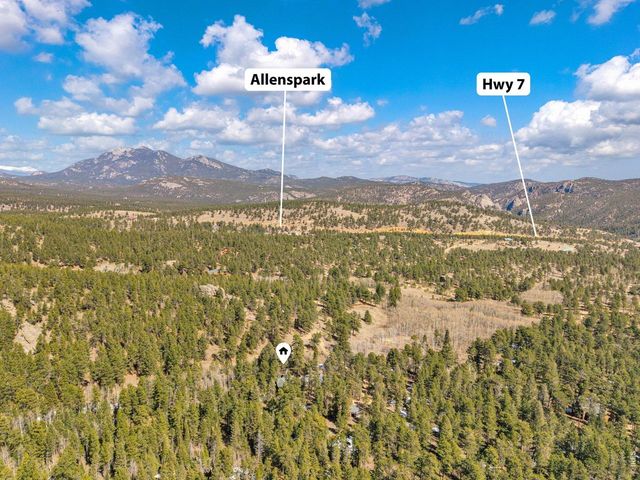 251 Haugen Slide Rd, Allenspark, CO 80510