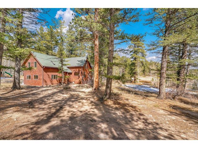 251 Haugen Slide Rd, Allenspark, CO 80510