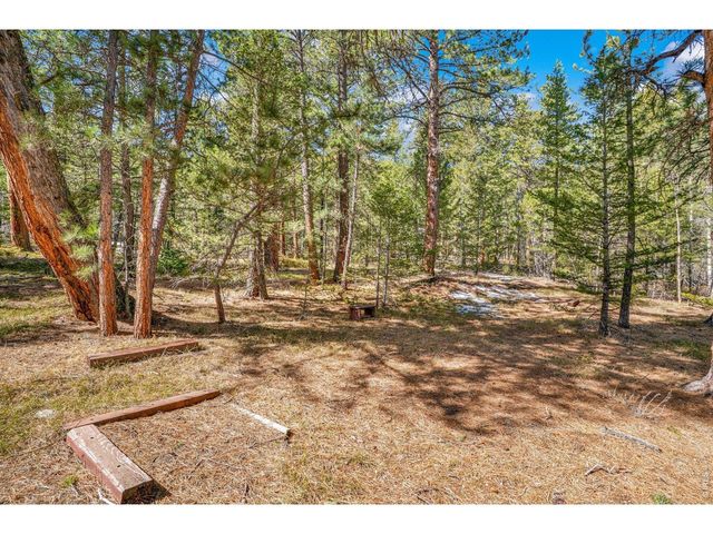 251 Haugen Slide Rd, Allenspark, CO 80510