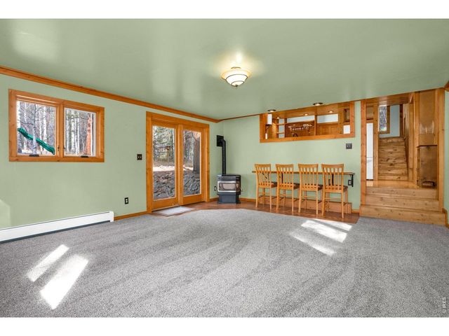 251 Haugen Slide Rd, Allenspark, CO 80510