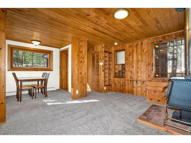 251 Haugen Slide Rd, Allenspark, CO 80510