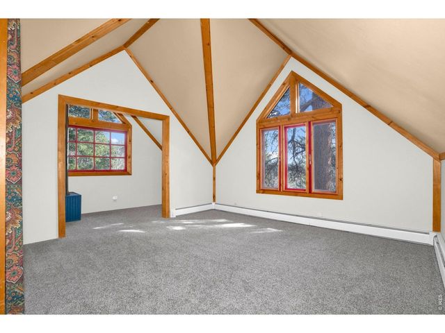 251 Haugen Slide Rd, Allenspark, CO 80510