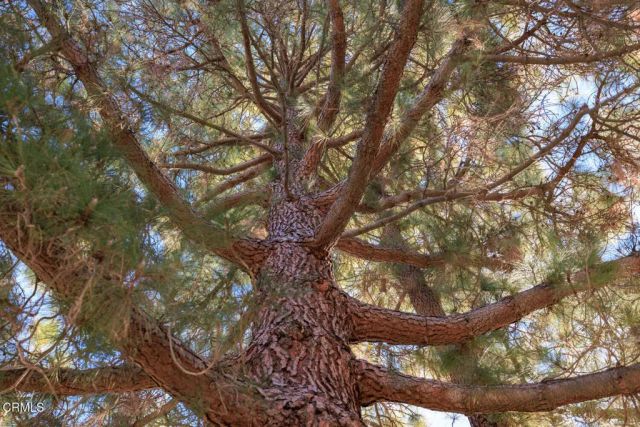 13325 Village 13, Camarillo, CA 93012