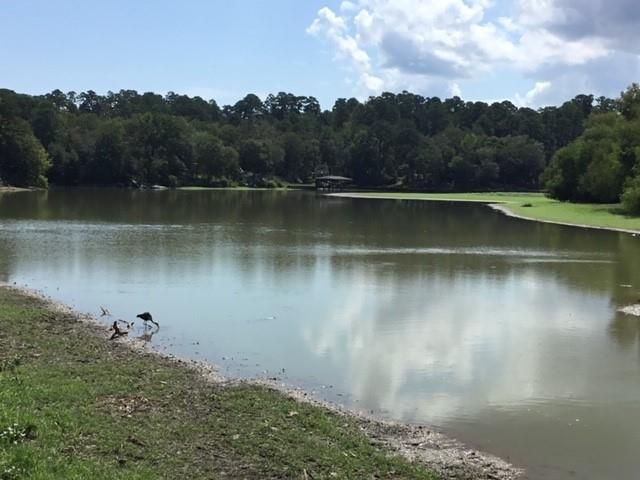 351 S Lakeside Drive, Huntsville, TX 77320