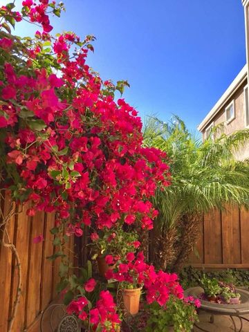 2158 Capitol Park Court, San Jose, CA 95132