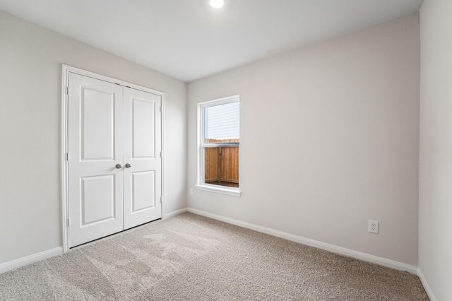 8117 Sunberry Shadow Drive, Houston, TX 77016