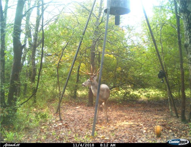 11947 Gordon Lane, Bryan, TX 77808