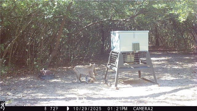 11947 Gordon Lane, Bryan, TX 77808