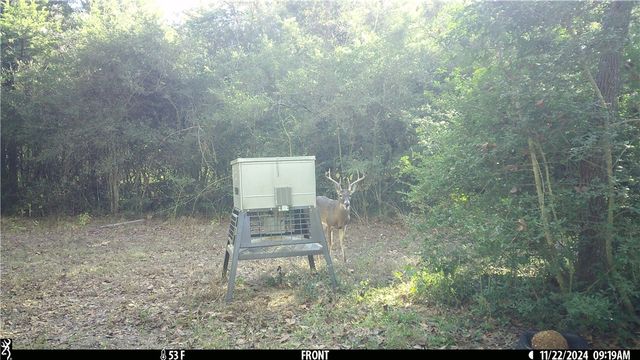 11947 Gordon Lane, Bryan, TX 77808