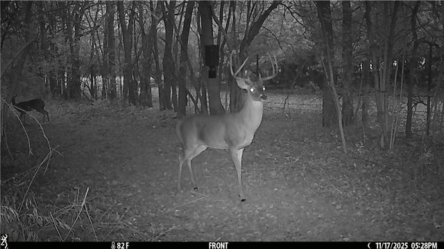 11947 Gordon Lane, Bryan, TX 77808