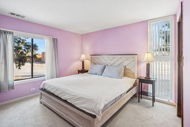 112 Mullingar Court 1C, Schaumburg, IL 60193