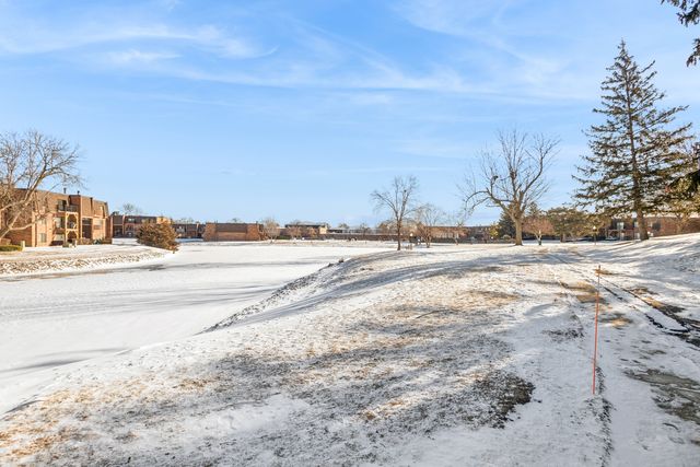 112 Mullingar Court 1C, Schaumburg, IL 60193