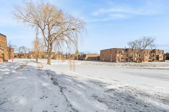 112 Mullingar Court 1C, Schaumburg, IL 60193