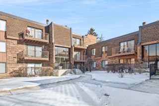 112 Mullingar Court 1C, Schaumburg, IL 60193