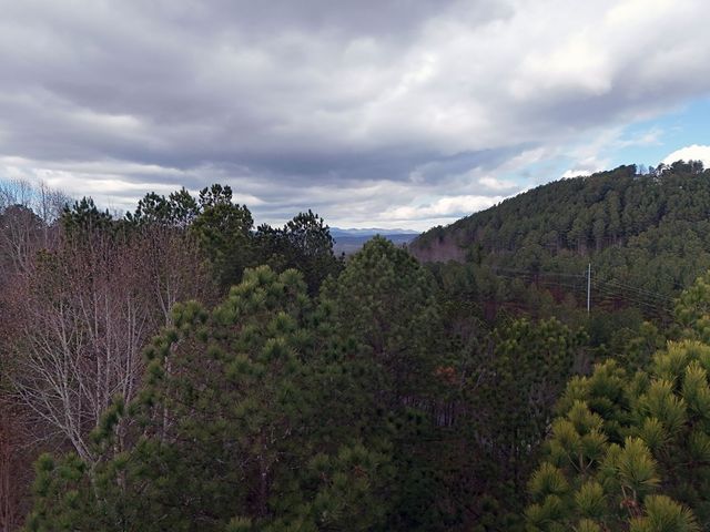 Lot 59 Ridge Peak View, Blairsville, GA 30512