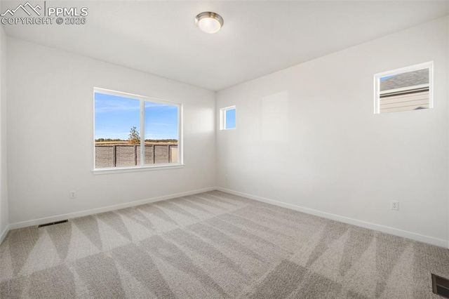 16295 Basset Mill Way, Monument, CO 80132