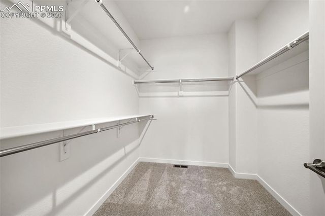 16295 Basset Mill Way, Monument, CO 80132