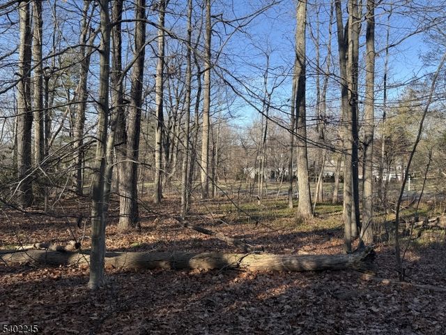 6 Dogwood Way, Bernards Twp., NJ 07920