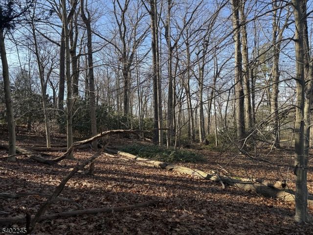 6 Dogwood Way, Bernards Twp., NJ 07920