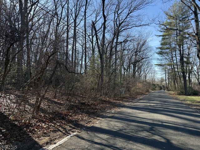 6 Dogwood Way, Bernards Twp., NJ 07920