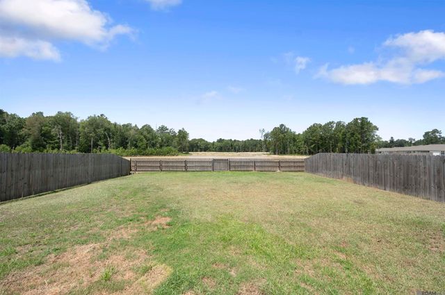 13095 Bayberry Ave, Denham Springs, LA 70706