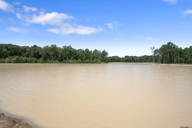 13095 Bayberry Ave, Denham Springs, LA 70706