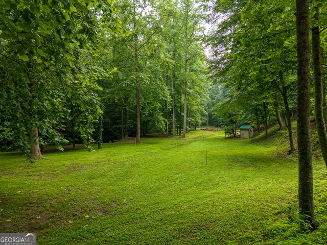 1117 Rambling Road, Fairmount, GA 30139